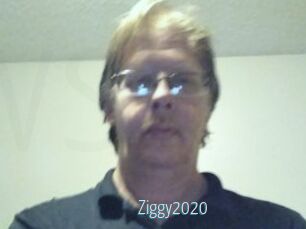 Ziggy2020