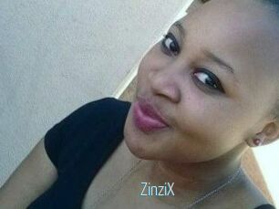 ZinziX