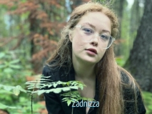Zadnizza