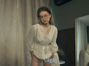 Zegoi