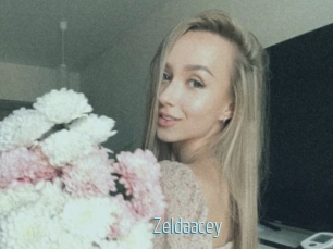Zeldaacey