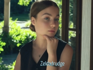 Zeldadrudge