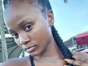 Ziebea22