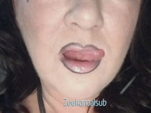 Zoekanaalsub