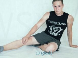 Zongfestt